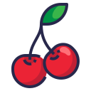 cherry, healthy, organic, food, fruit icon