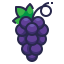 grape, healthy, organic, food, fruit icon 