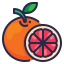 grapefruit, healthy, organic, food, fruit icon 