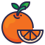 orange, healthy, organic, food, fruit icon 