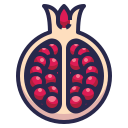 pomegranate, healthy, organic, food, fruit icon