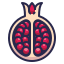 pomegranate, healthy, organic, food, fruit icon 