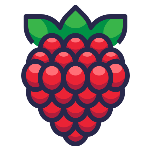Raspberry, healthy, organic, food, fruit icon icon - Free download