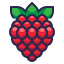 raspberry, healthy, organic, food, fruit icon 