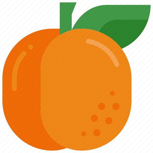 Apricot, plum, fruit, healthy, fresh, nutrition, vitamin icon - Download on Iconfinder