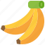 banana, bunch, tropical, fruit, healthy, ripe, vegan 