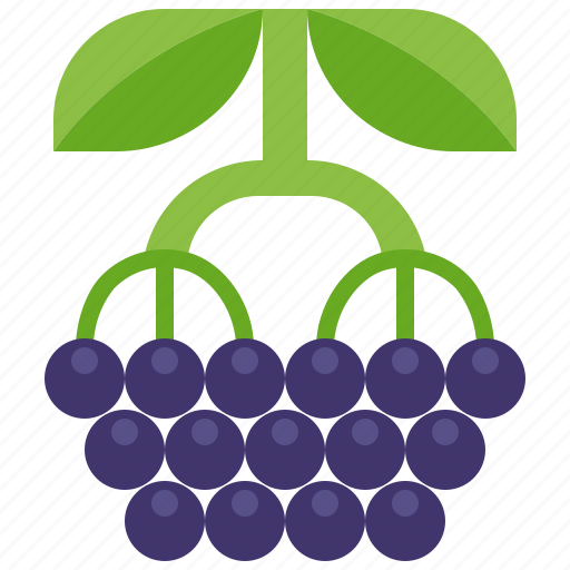Elderberry, sambucus, berry, bunch, fruit, wild, herb icon - Download on Iconfinder