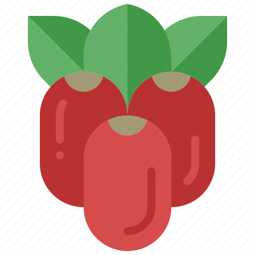 Miracle, fruit, berry, exotic, medicinal, vitamin, healthy icon - Download on Iconfinder