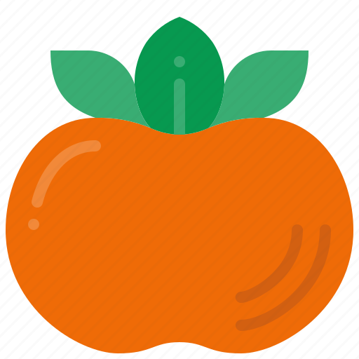 Persimmon, exotic, asian, fruit, sweet, freshness, chinese icon - Download on Iconfinder