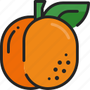 apricot, plum, fruit, healthy, fresh, nutrition, vitamin