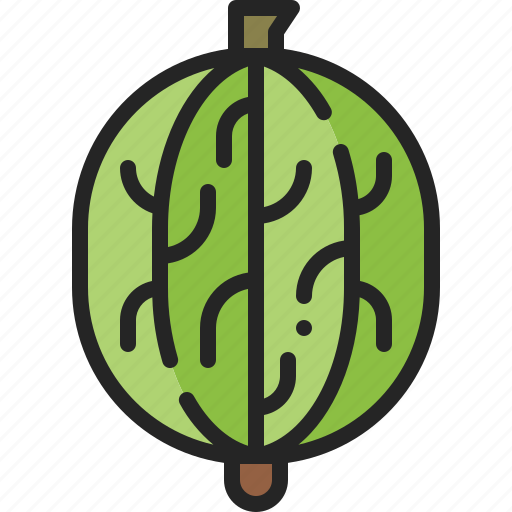 Gooseberry, berry, fruit, wild, organic, juicy, healthy icon - Download on Iconfinder