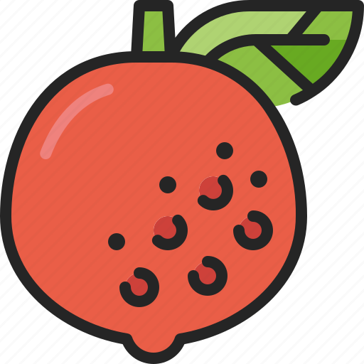 Grapefruit, citrus, fruit, juice, freshness, health, tropical icon - Download on Iconfinder