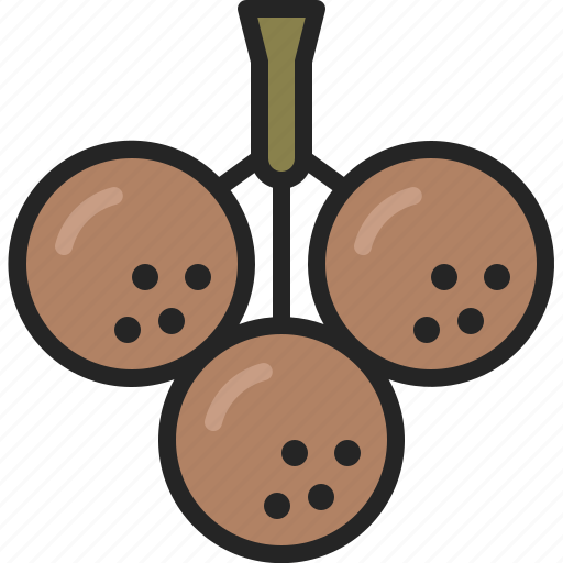 Longan, fruit, exotic, tropical, bunch, juice, sweet icon - Download on Iconfinder