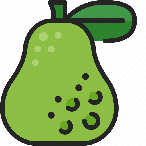 Pomelo, citrus, fruit, tropical, exotic, freshness, juice icon - Download on Iconfinder