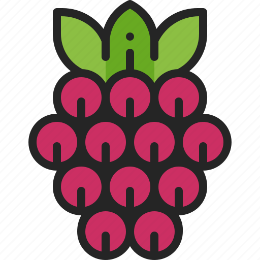 Raspberry, berry, fruit, flavor, harvest, vitamin, juice icon - Download on Iconfinder