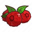 fruit, raspberry