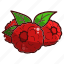 fruit, raspberry 
