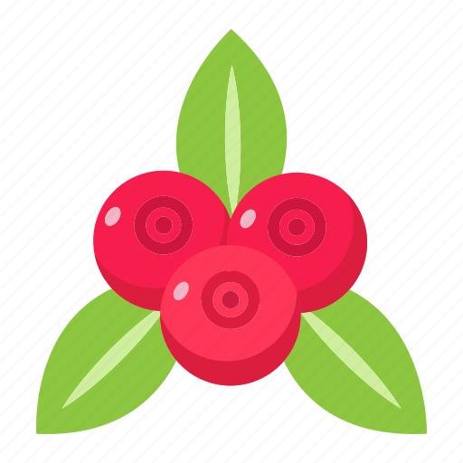 Diet, food, fresh, fruit, healthy, red currant, vegetarian icon - Download on Iconfinder