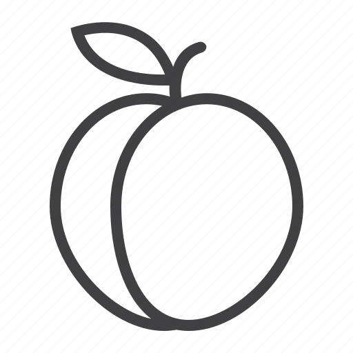 Diet, food, fresh, fruit, healthy, peach, vegetarian icon - Download on Iconfinder