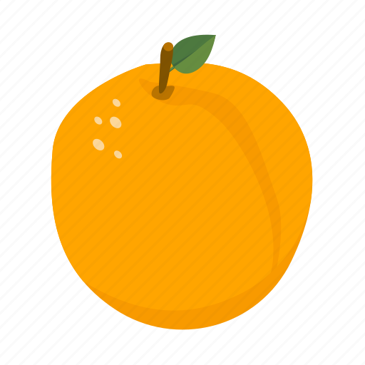 Apricot, food, fruit, health, peach, sweet icon - Download on Iconfinder
