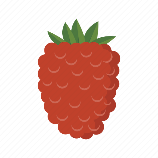 Berry, food, fruit, health, rasberry, sweet icon - Download on Iconfinder