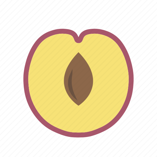 Food, fruit, juicy, plant, plum, stone icon - Download on Iconfinder