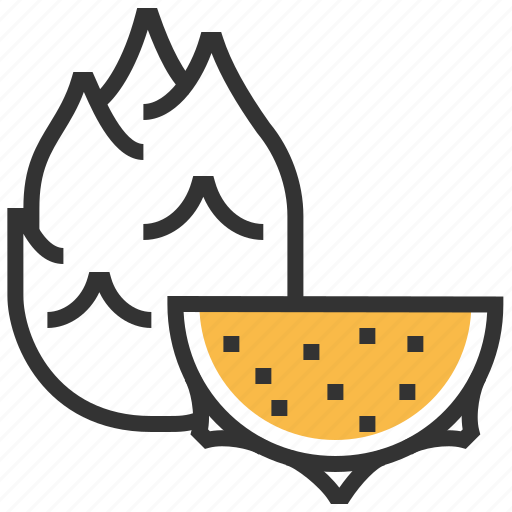 Dragonfruit, food, fruit, healthy icon - Download on Iconfinder