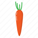 carrot, food, fruit, healthy, organic, vegetable 