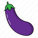 eggplant, food, fruit, healthy, organic, vegetable 