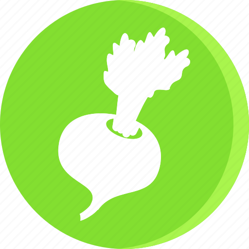 Cooking, food, fruit, gastronomy, veg, vegetable, radish icon - Download on Iconfinder
