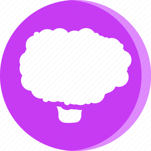 Cooking, food, fruit, gastronomy, veg, vegetable, broccoli icon - Download on Iconfinder