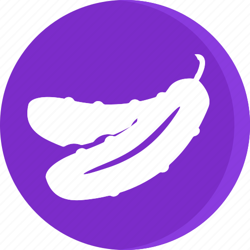 Cooking, food, fruit, gastronomy, veg, vegetable, cucumber icon - Download on Iconfinder