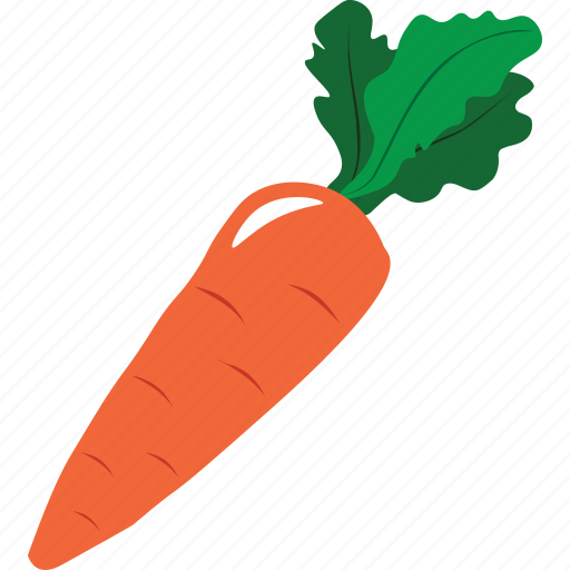 Carrot, vegetable, cooking, drink, food, fruit icon - Download on Iconfinder