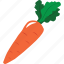 carrot, vegetable, cooking, drink, food, fruit 