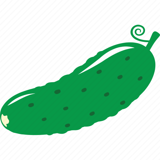 Cucumber, vegetable, food, fruit, gastronomy, kitchen icon - Download on Iconfinder
