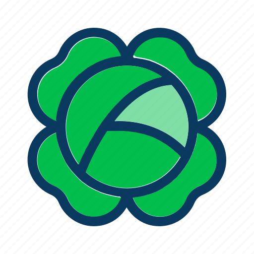Cabbage, food, green, healthy, nutrition, salad, vegetable icon - Download on Iconfinder