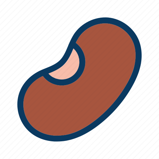 Bean, beans, food, fresh, healthy, legume, seed icon - Download on Iconfinder