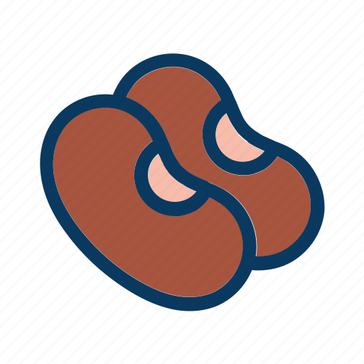 Bean, beans, food, fresh, healthy, legume, seed icon - Download on Iconfinder