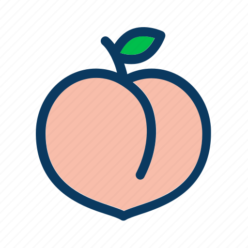 Diet, food, fresh, fruit, healthy, organic, peach icon - Download on Iconfinder