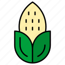 corn, food, maize, restaurant, vegetable