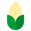 corn, healthy, maize, vegetable, vegetarian 