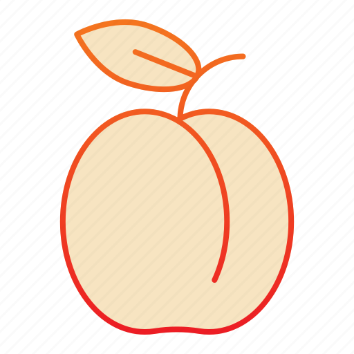 Apricot, food, fruit, leaf, peach, sweet, freshness icon - Download on Iconfinder