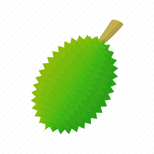 Cartoon, durian, exotic, food, fresh, fruit, tropical icon - Download on Iconfinder