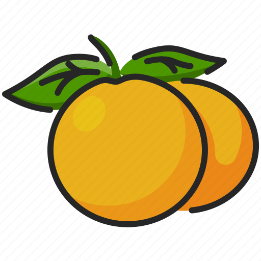 Fruit, fruits, vitamin, nutrition, organic, food, citrus icon - Download on Iconfinder