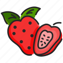 strawberry, fruit, fruits, vitamin, nutrition, organic, food, healthy, fresh