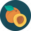 apricot, food, fruit, plant, kitchen, meal, cooking