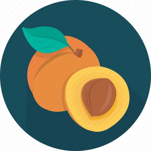 Apricot, food, fruit, plant, kitchen, meal, cooking icon - Download on Iconfinder