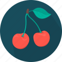 cherries, food, fruit, plant, kitchen, meal, cooking 