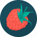 food, fruit, plant, raspberries, kitchen, meal, cooking 