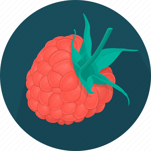 Food, fruit, plant, raspberries, kitchen, meal, cooking icon - Download on Iconfinder